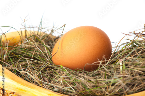 Easter, egg