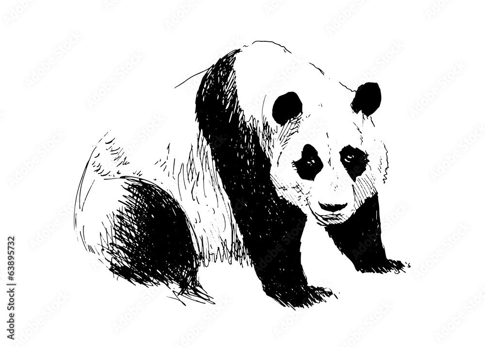 Obraz premium Hand drawing panda. Vector illustration