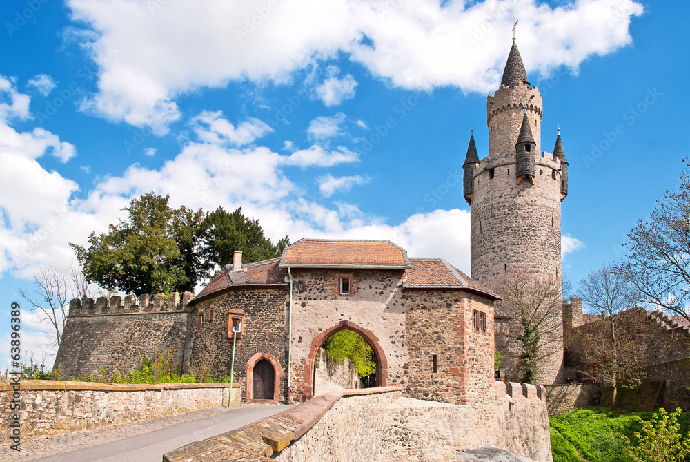 Der Adolfsturm und die Friedberger Burg in der Wetterau