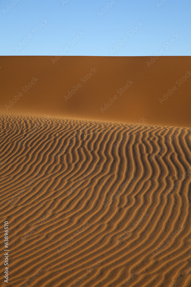 deserto