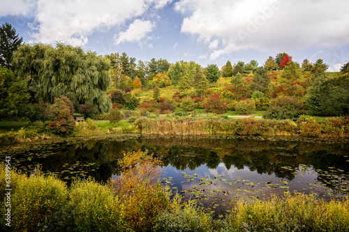 Autumn Pond