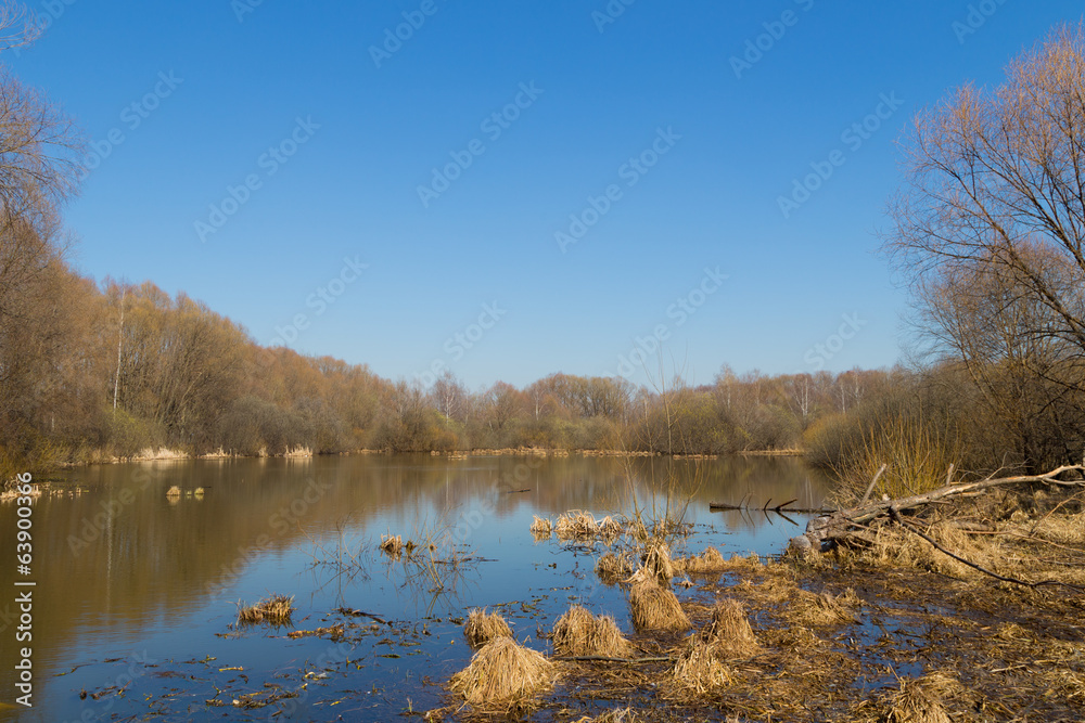 Fototapeta premium lake in early spring