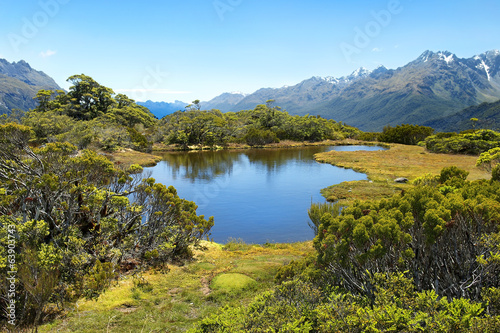 magnificent landscapes of New Zealand