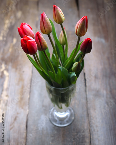 tulips