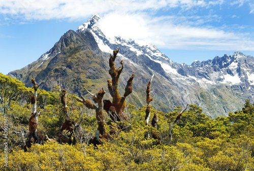 magnificent landscapes of New Zealand