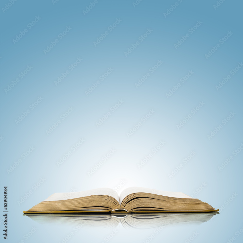 Naklejka premium book