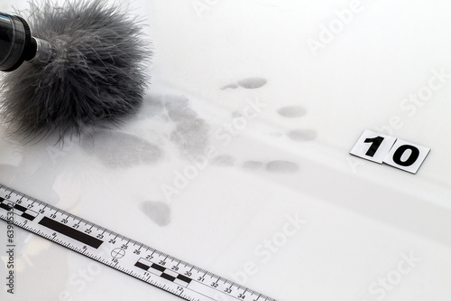 Photos Fingerprint