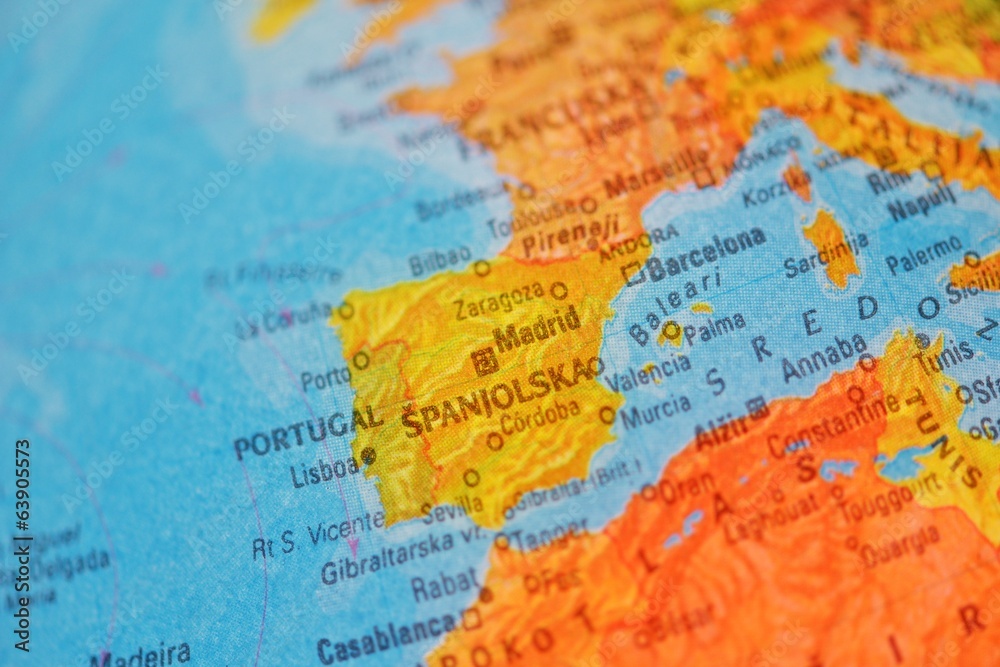 Naklejka premium globe