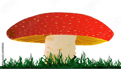 Toadstool