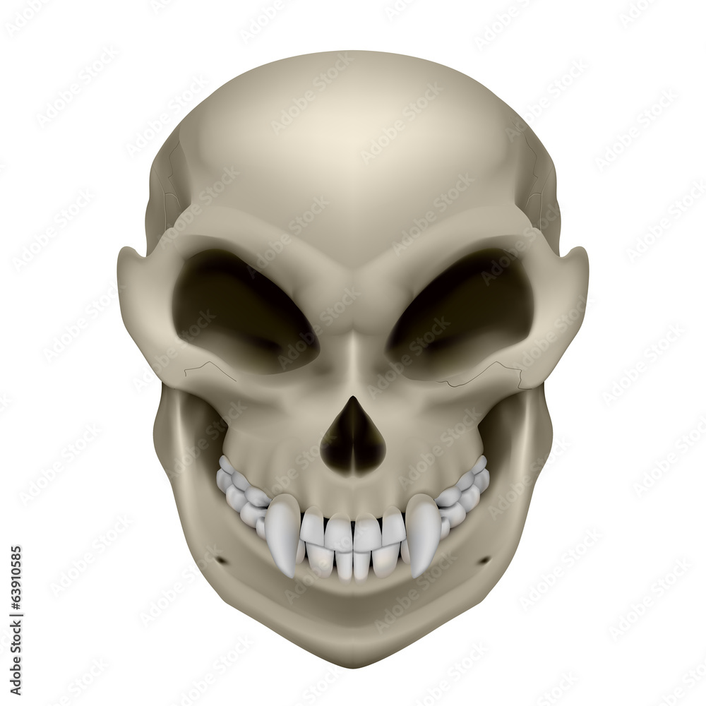Skull of a mutant Skull of a mutant