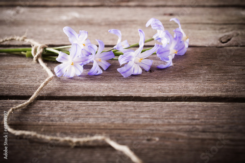 beautiful flowwers on wooden background
