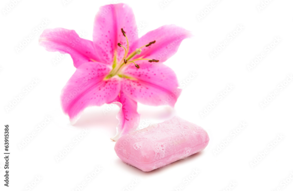 pink soap bubble of isolation pink soap bubble of isolation