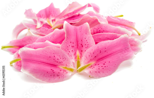 lily petals isolated