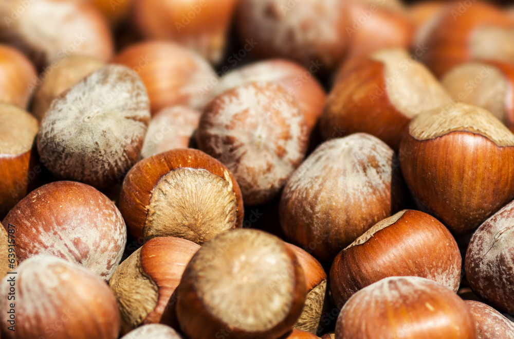 Hazelnuts background macro. Heap of hazel nuts background close Hazelnuts background macro. Heap of hazel nuts background close