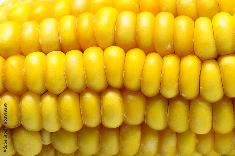 Macro of Ears of corn Macro of Ears of corn