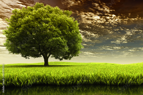 Spring landscape
