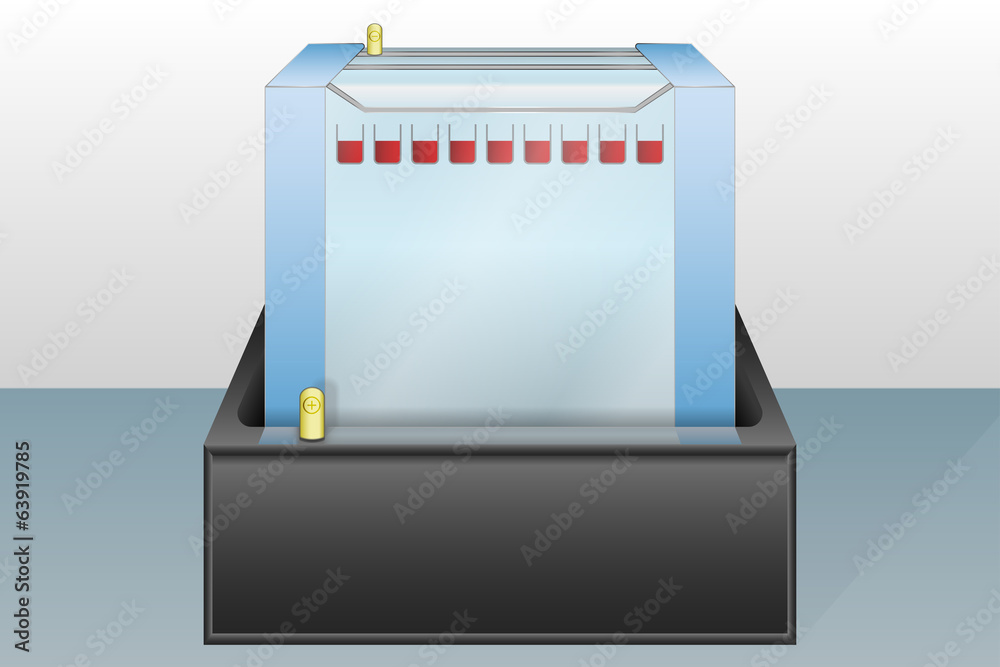 Gel electrophoresis device vector illustration Gel electrophoresis device vector illustration
