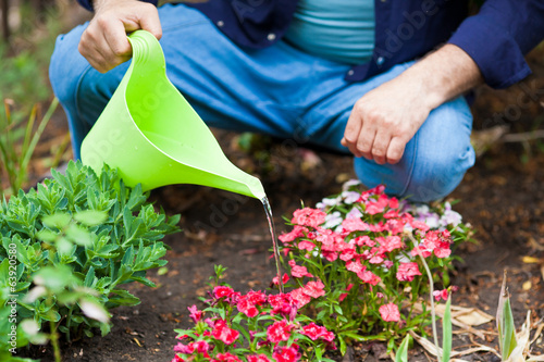 Watering flowers with a watering can