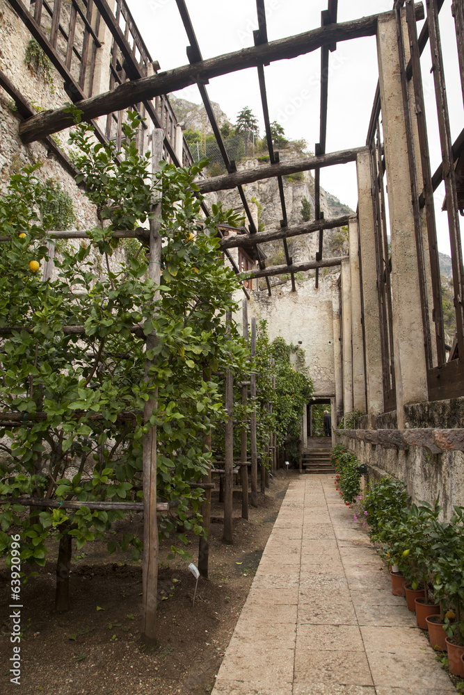 limonia sul garda