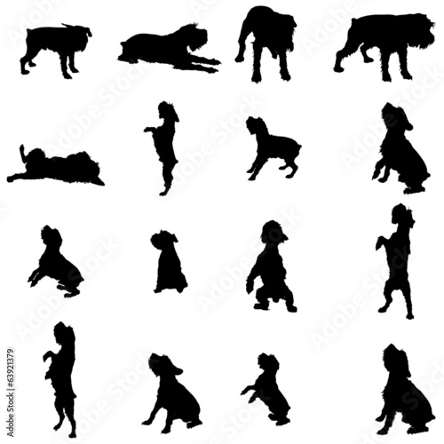 Vector silhouette of a dog.