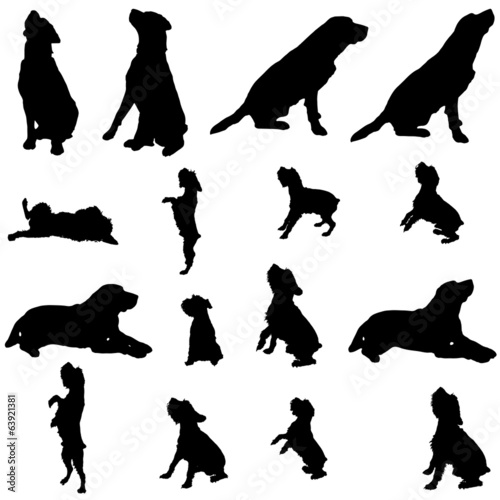Vector silhouette of a dog.