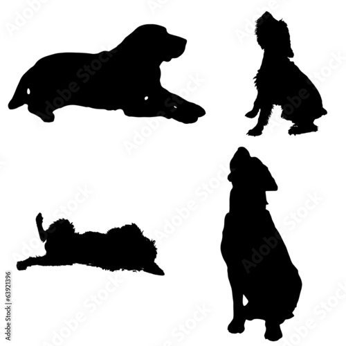 Vector silhouette of a dog.