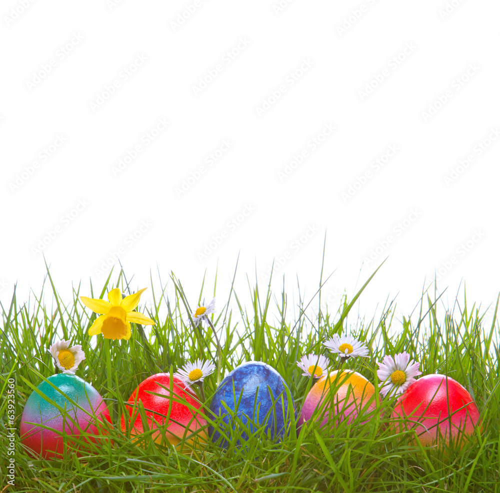 Fototapeta premium Colorful Easter eggs and green grass.