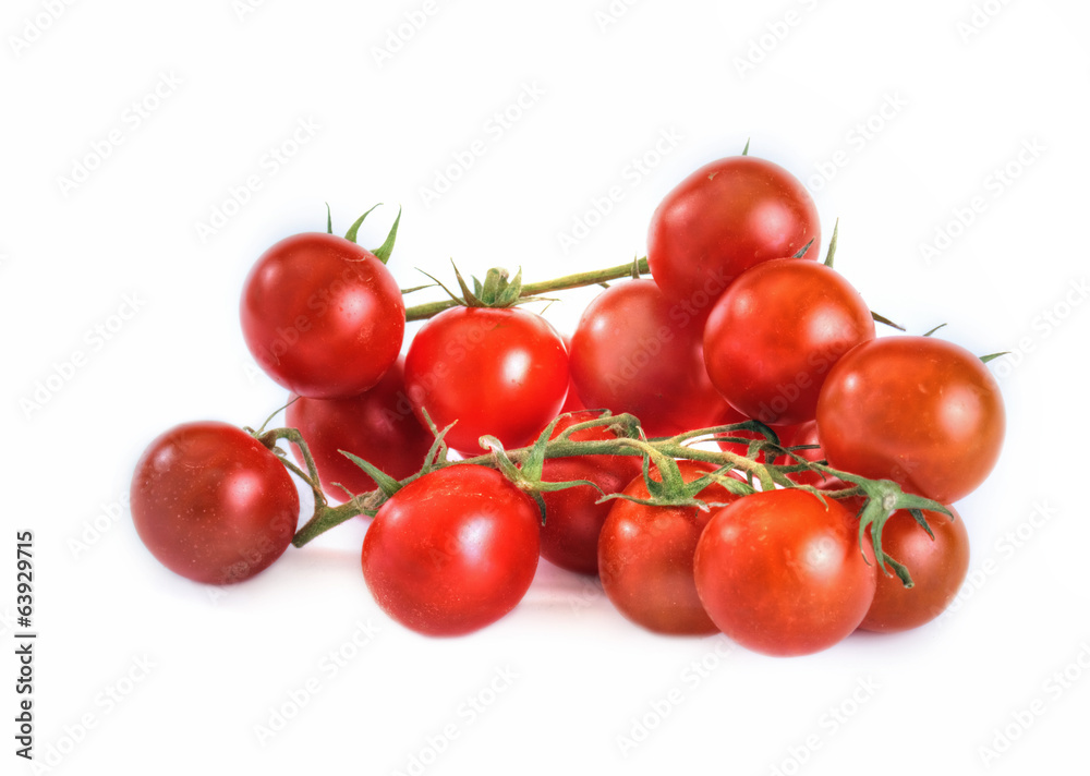 Tomatoes of cherry Tomatoes of cherry