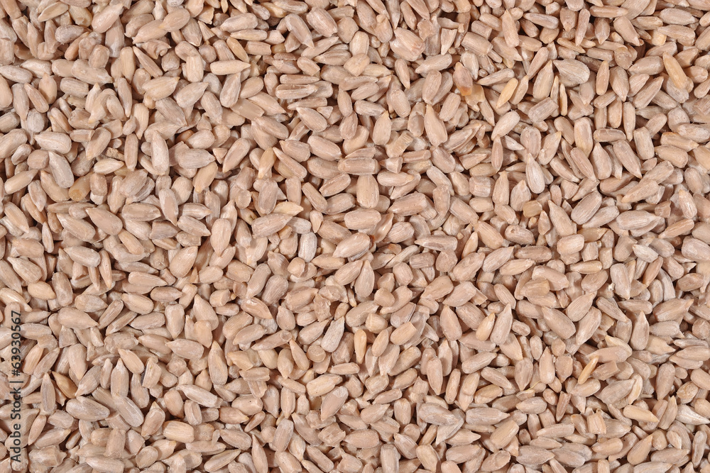 Cleared sunflower seeds background Cleared sunflower seeds background