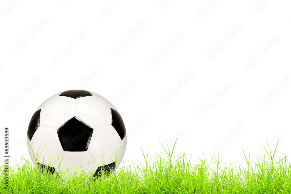 Fototapeta premium soccer ball on green grass