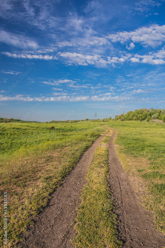 Summer landscape with green grass