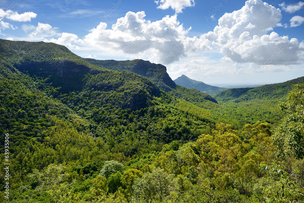 Tropical jungles of Mauritius island Tropical jungles of Mauritius island