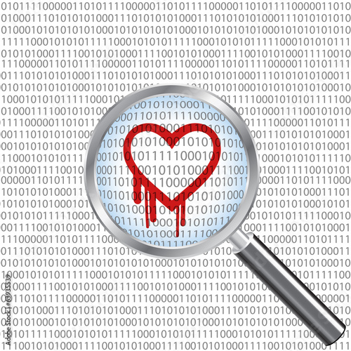 Illustration of the heartbleed bug under a magnifier