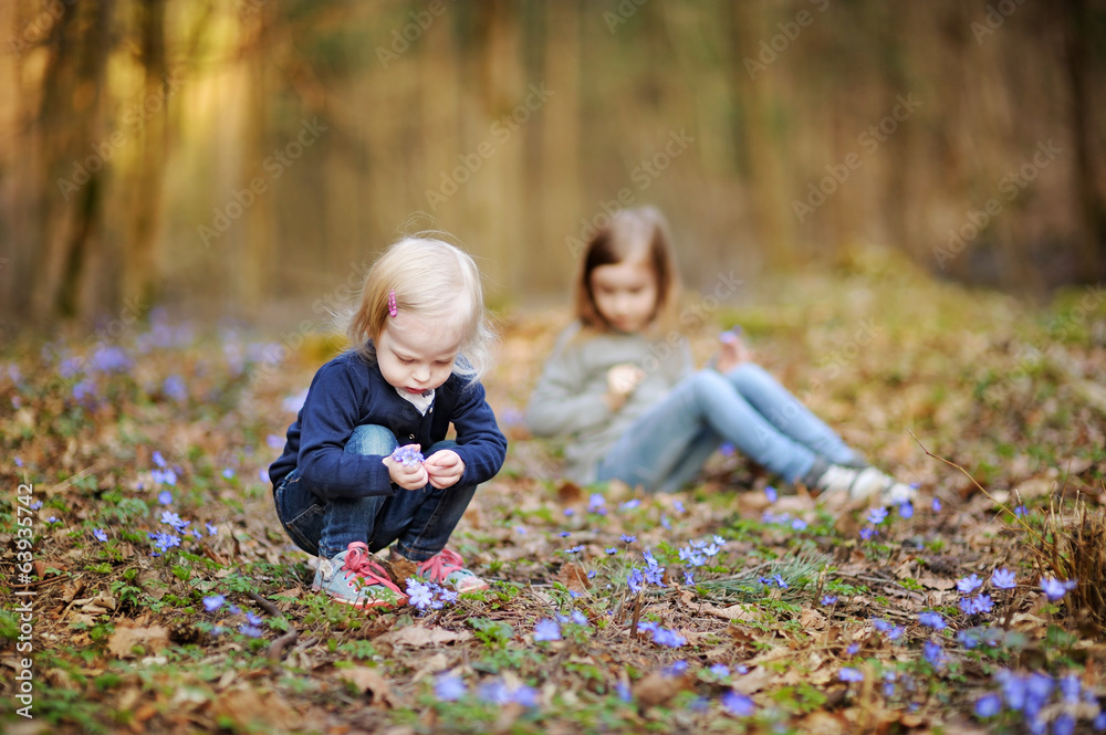 Little sisters picking spring flowers Little sisters picking spring flowers