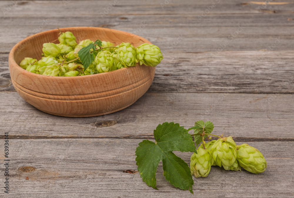 Harvest of hops Harvest of hops