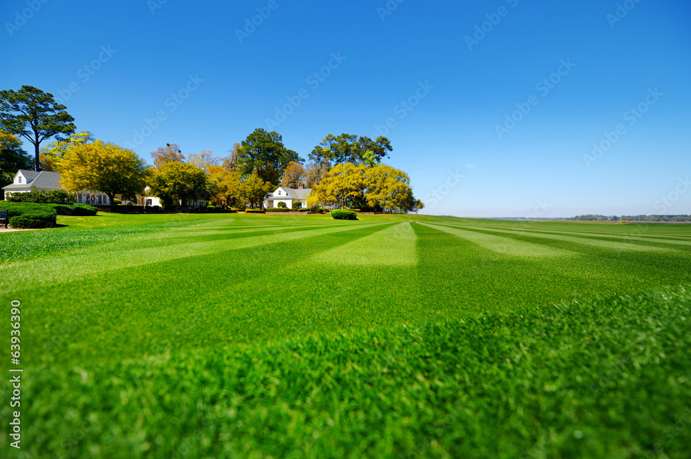 Ταπετσαρία Perfectly striped freshly mowed garden lawn