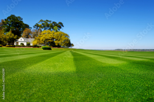 Perfectly striped freshly mowed garden lawn photo
