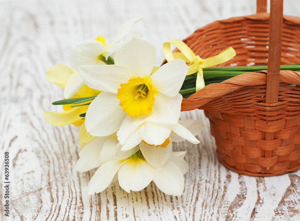 daffodils daffodils
