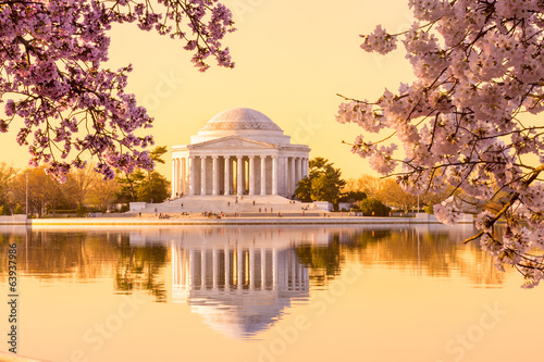 Beautiful early morning Jefferson Memorial photo