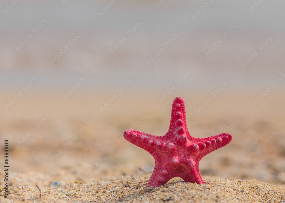 Starfish and wave on the sandy beach Starfish and wave on the sandy beach
