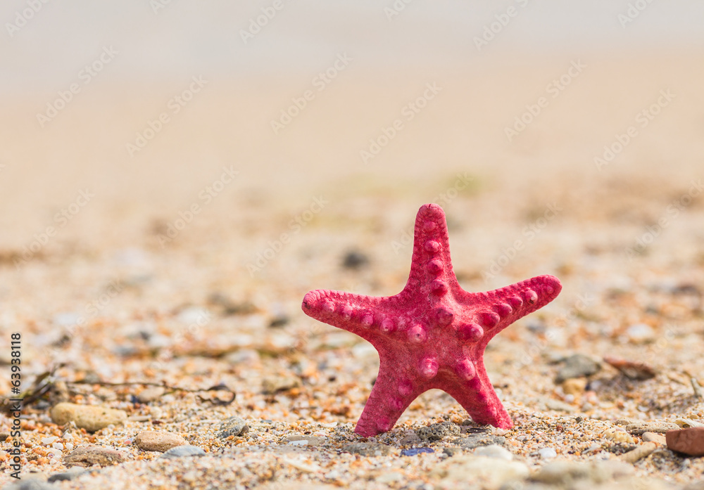 Starfish and wave on the sandy beach Starfish and wave on the sandy beach