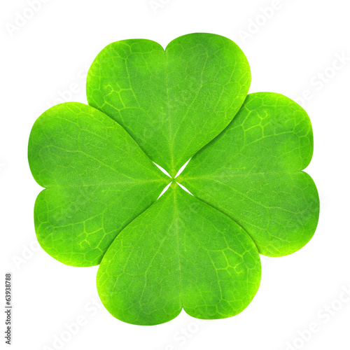 Fotografia, Obraz Green clover leaf isolated on white background