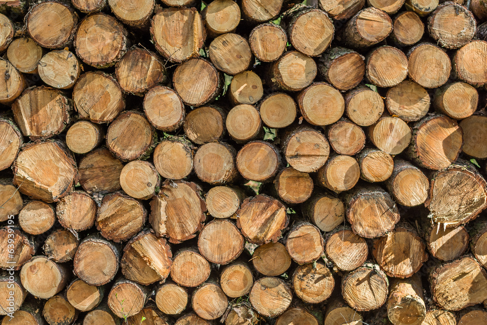 Stack of logs Stack of logs