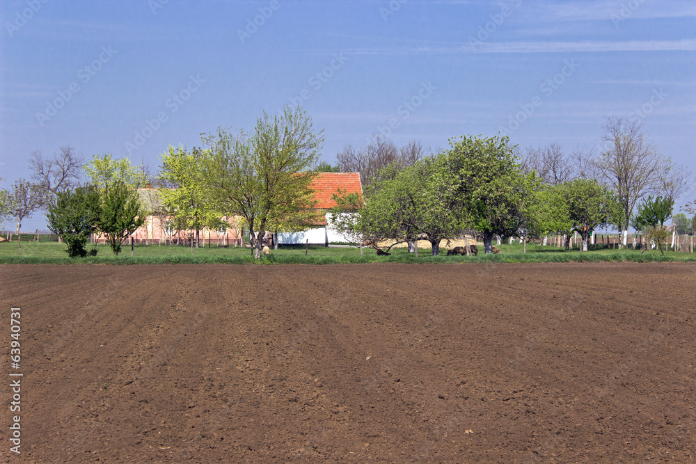Plowed field and farm house with trees and sky Plowed field and farm house with trees and sky