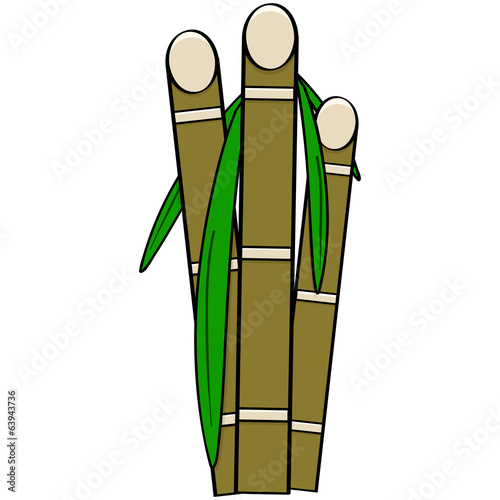 Sugar cane