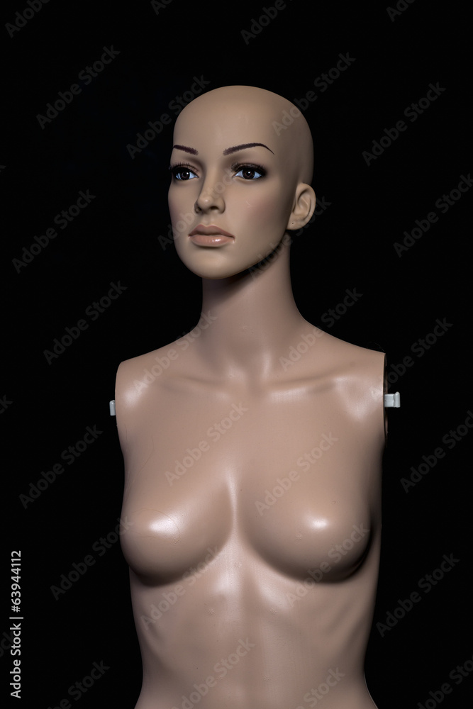 Mannequin doll Mannequin doll