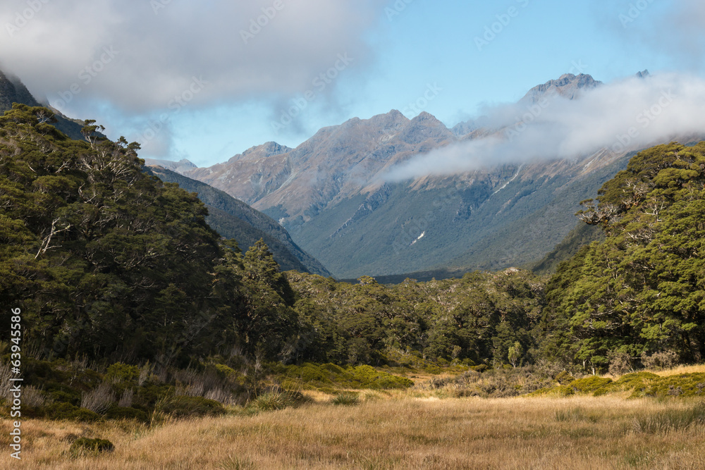 Greenstone valley in Fiordland National Park, New Zealand