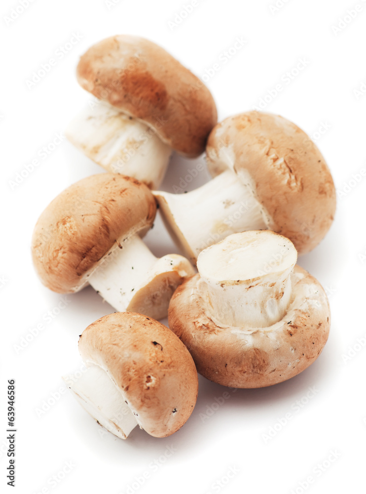 Portabello mushrooms Portabello mushrooms