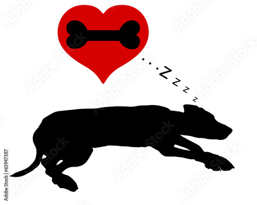 Hund träumt von Knochen