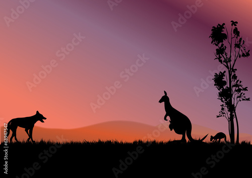 australia kangaroos © electra kay-smith